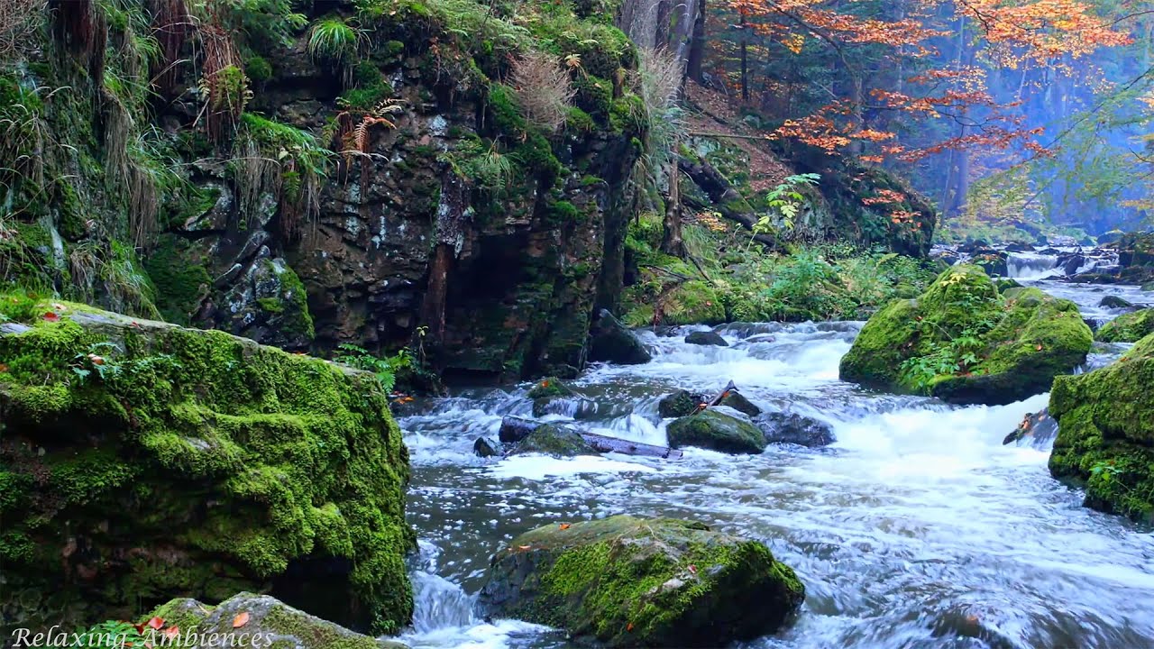 Beautiful Mountain River Flowing Sound - Relaxing Ambience by Scenic Sound