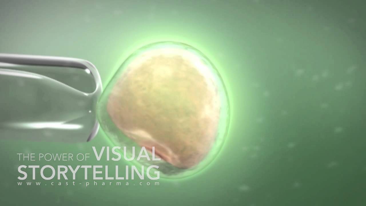 Assisted Reproduction Mode of Action Animation