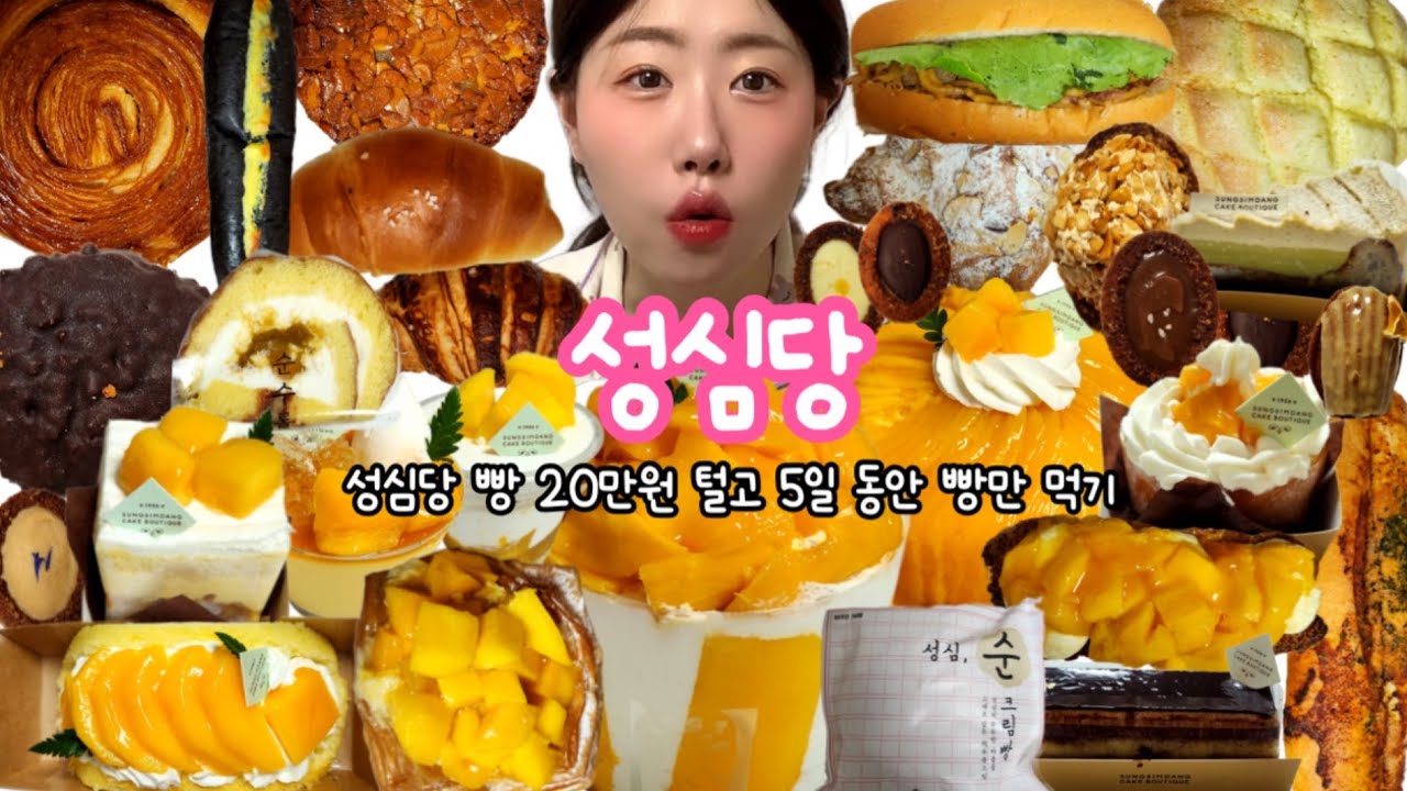 먹방브이로그) 5일 동안 성심당 빵만 먹기🥖 +성심당 꿀팁ㅣ망고시루 망고타르트 망고롤 소금빵 명란바게트 야끼소바빵 티그레 초코소보로 크림빵 샌드위치 마들렌 아몬드크로와상 메론빵
