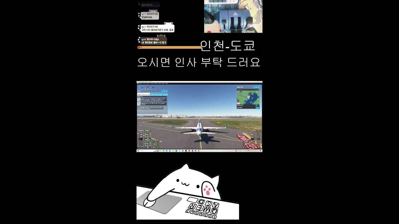 그래픽 카드사서 플라이트  시물레이터 2020 내 컴으로 한다