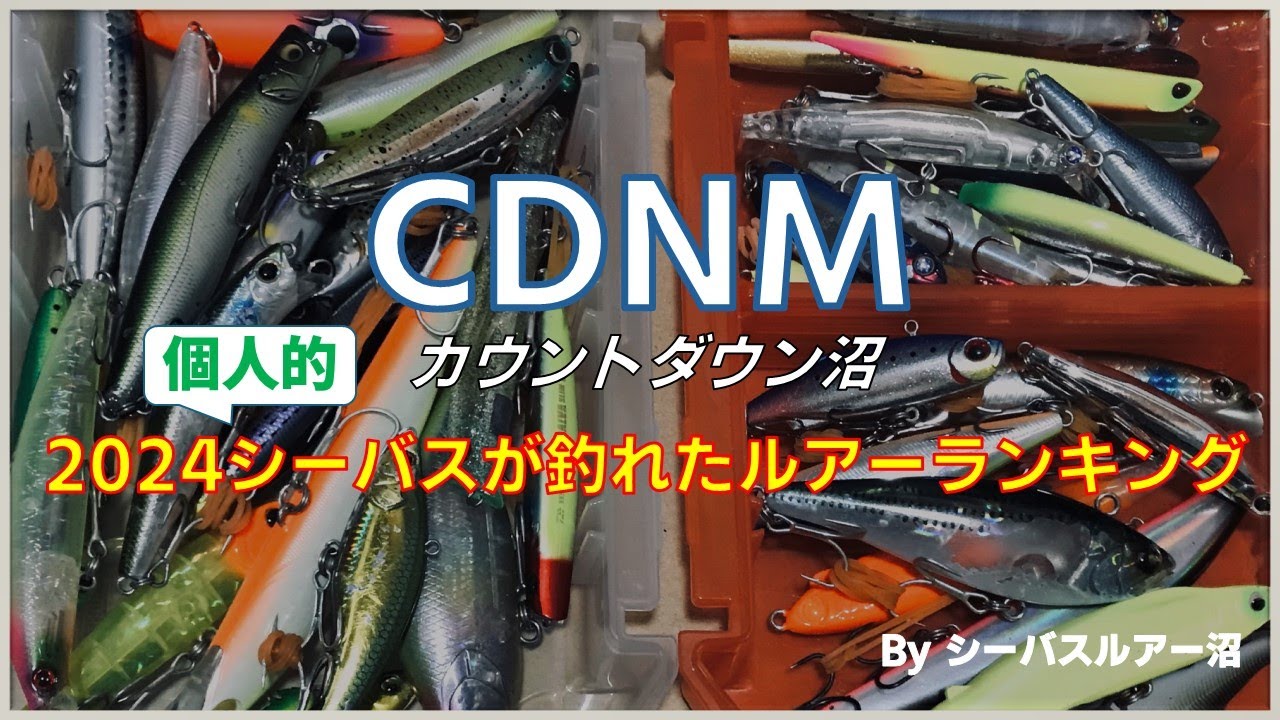 2024年シーバスが釣れたルアーをランキング形式でまとめてみた!!（沼の釣果を紹介します）