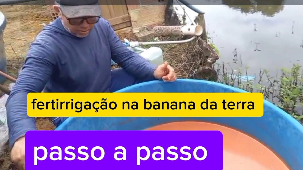 Melhor adubação pra bananeira que eu já usei 