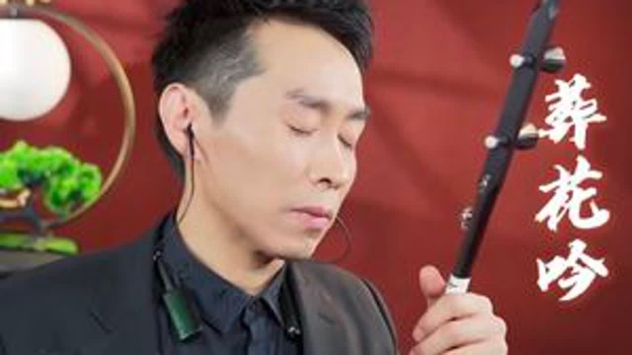 现场版#葬花吟二胡版 #87版红楼梦  #经典怀旧 #一代人的回忆#抖音小助手