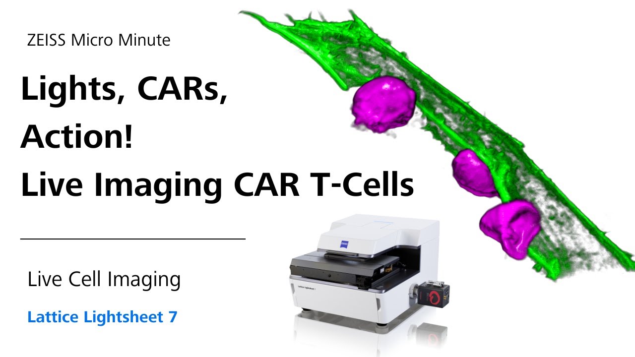 Lights, CARs, Action! Live Imaging CAR T-cells on Lattice Lightsheet 7 | ZMCC Live Demo | Episode 35