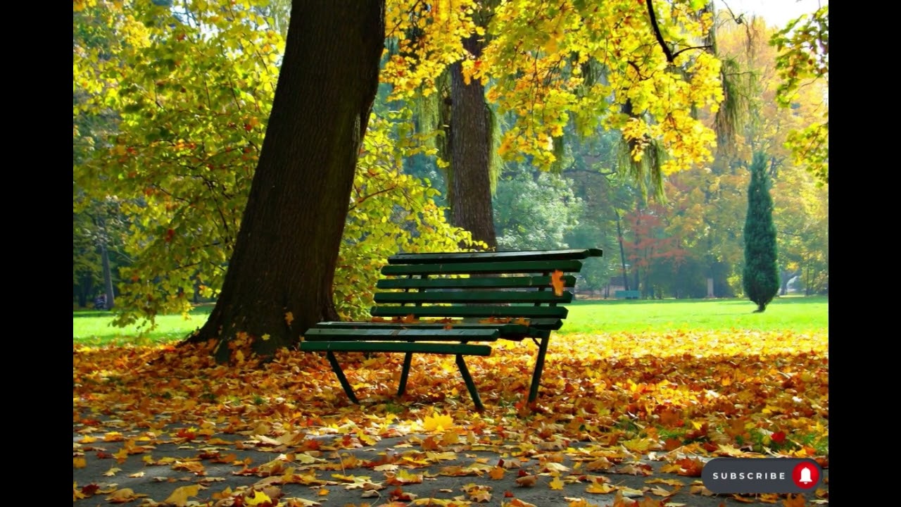 Peaceful Autumn Park with Falling Leaves | Relaxing Nature Stillness