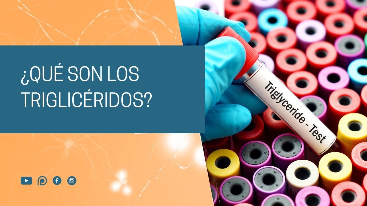 ¿Qué son los triglicéridos?