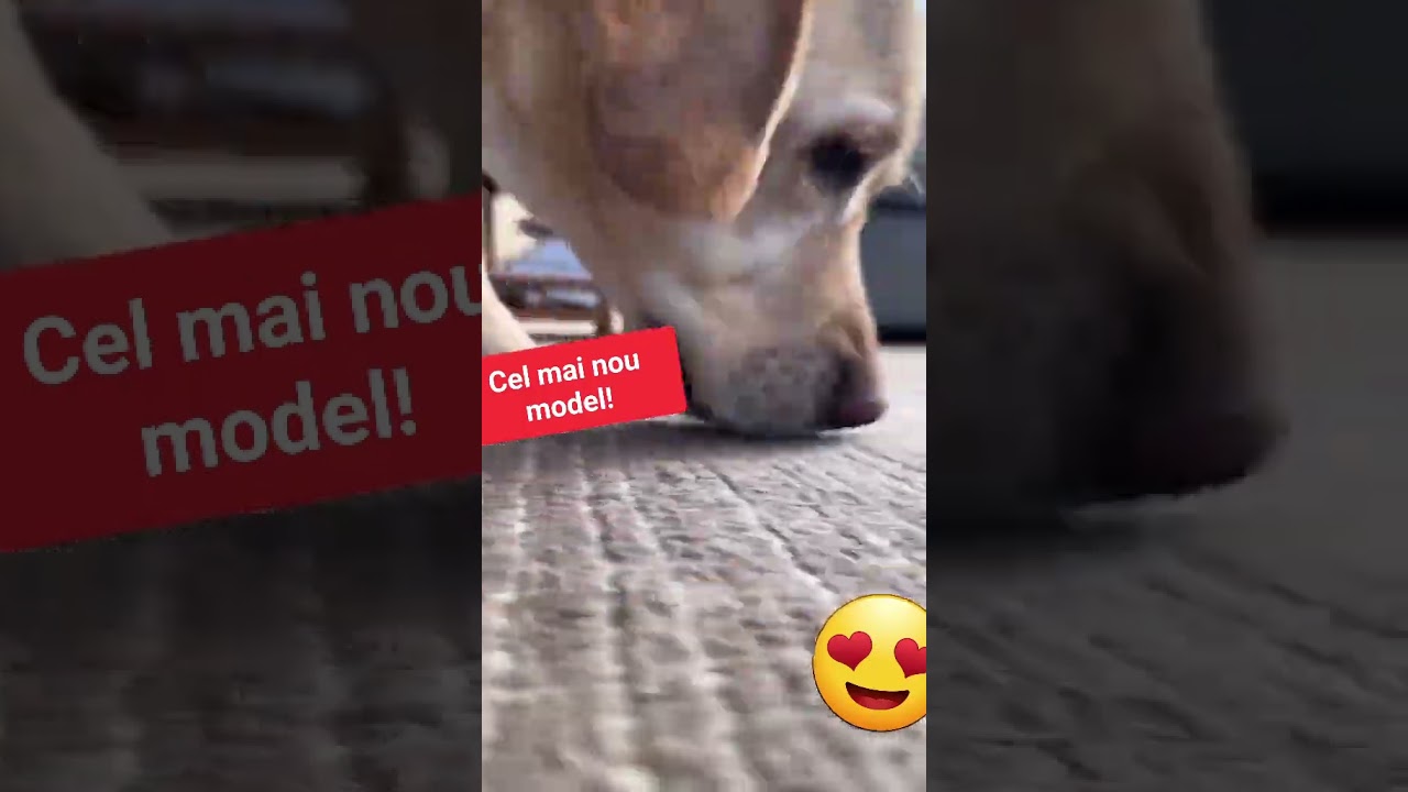 Cel mai bun aspirator 