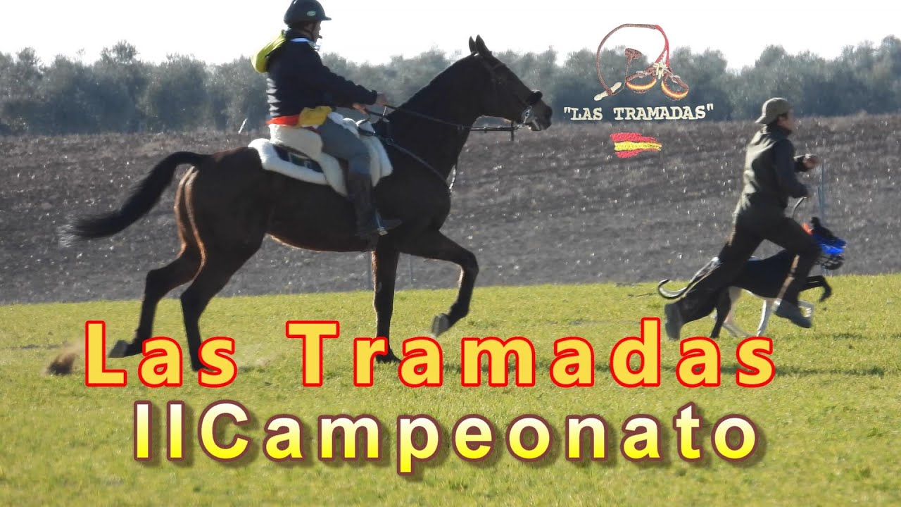 II Campeonato Las Tramadas, Octavos 🐇🐕