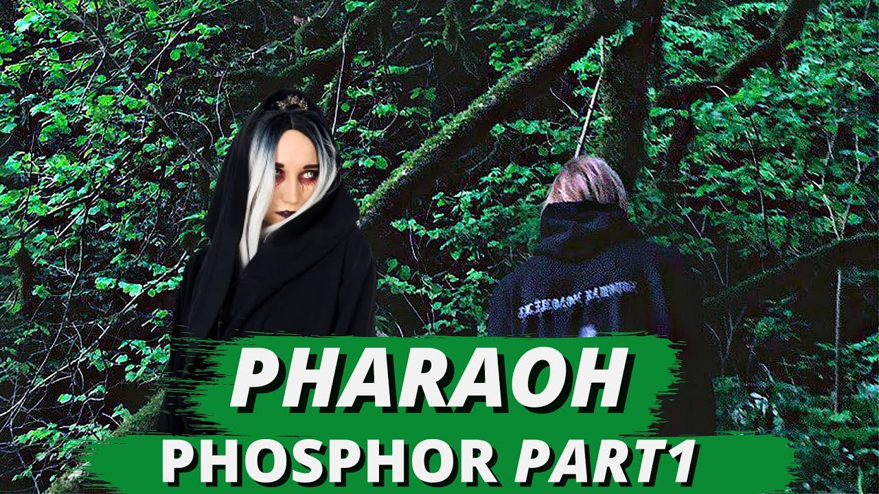 PHARAOH - PHOSPHOR| Реакция ВАМПИРА