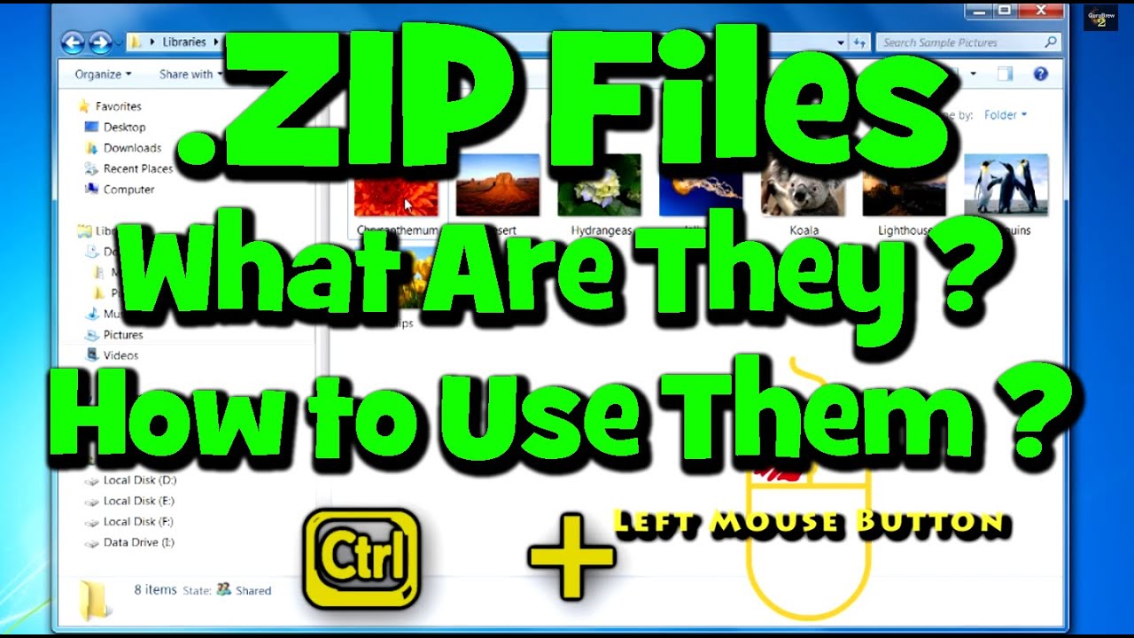 Файлы .ZIP — что это такое и как их использовать — Вопрос технику #42