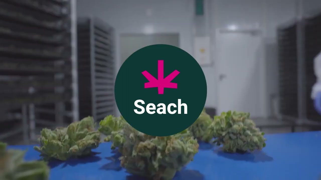 LianBonfil - Learn about Cannabis - AR