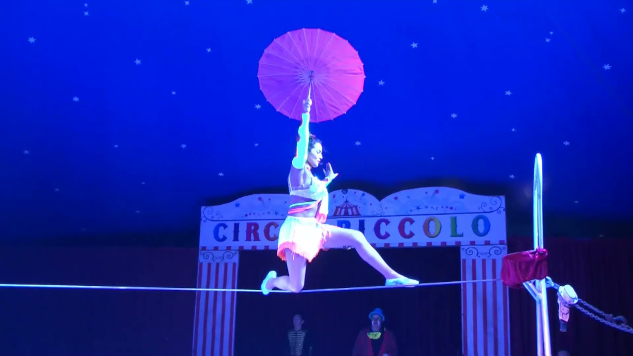 Circus Piccolo, Drahtseil 2021