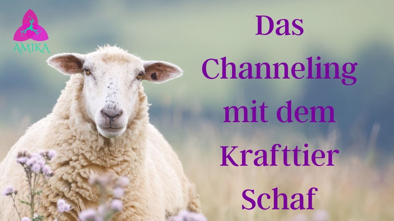Krafttier Channeling Schaf