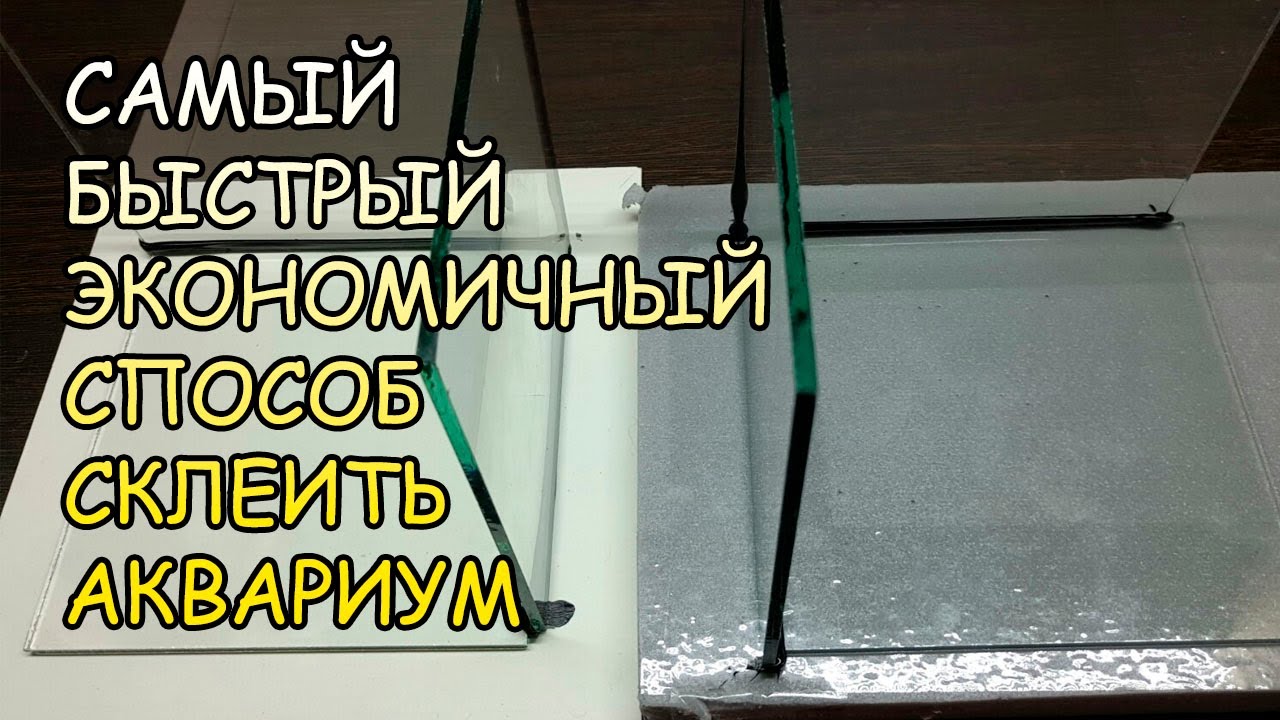 САМЫЙ БЫСТРЫЙ И ЭКОНОМИЧНЫЙ СПОСОБ СКЛЕИТЬ АКВАРИУМ