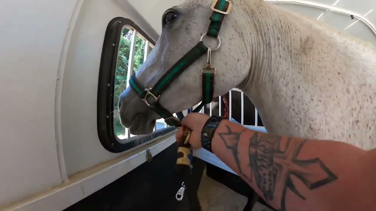8 horse haul part 4