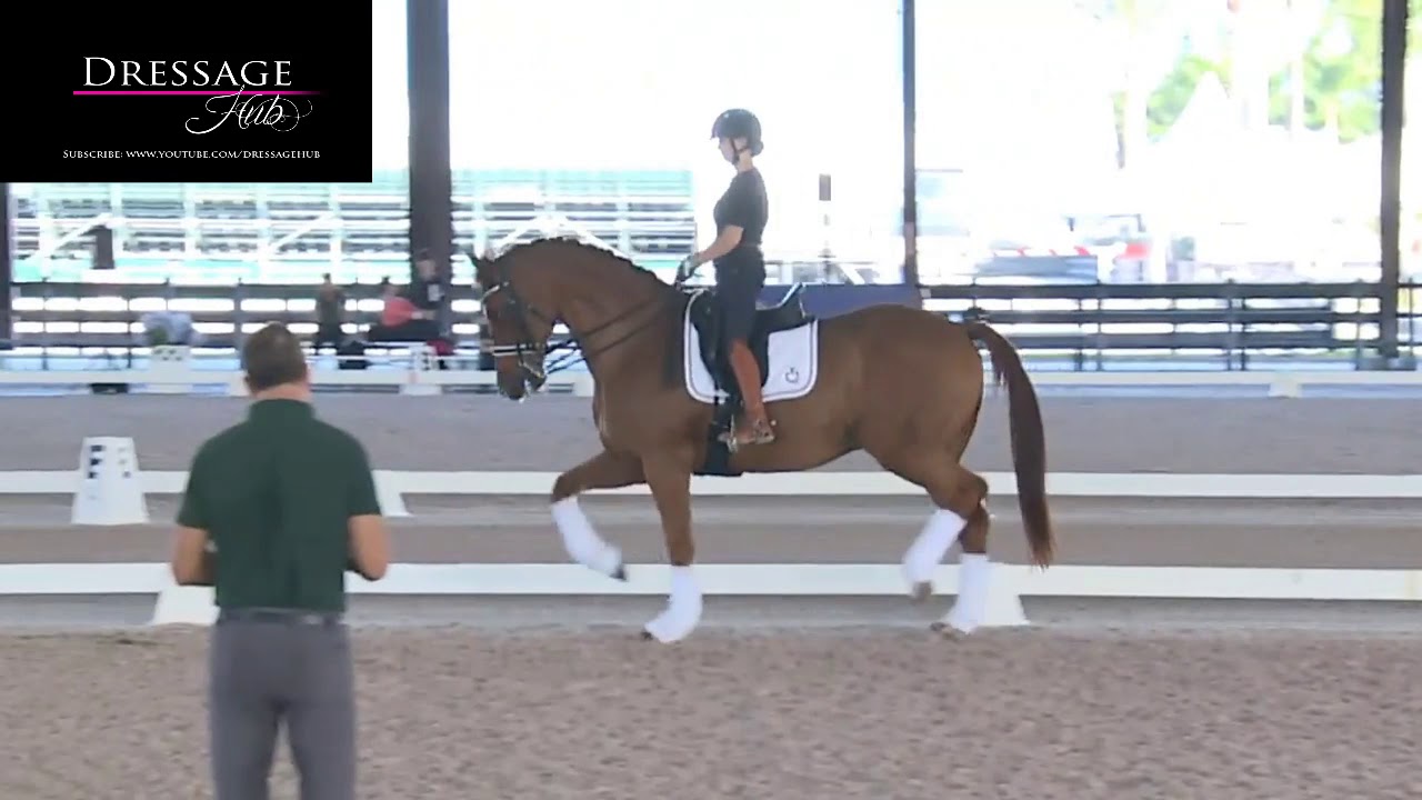 Tips For Training The Nervous Horse