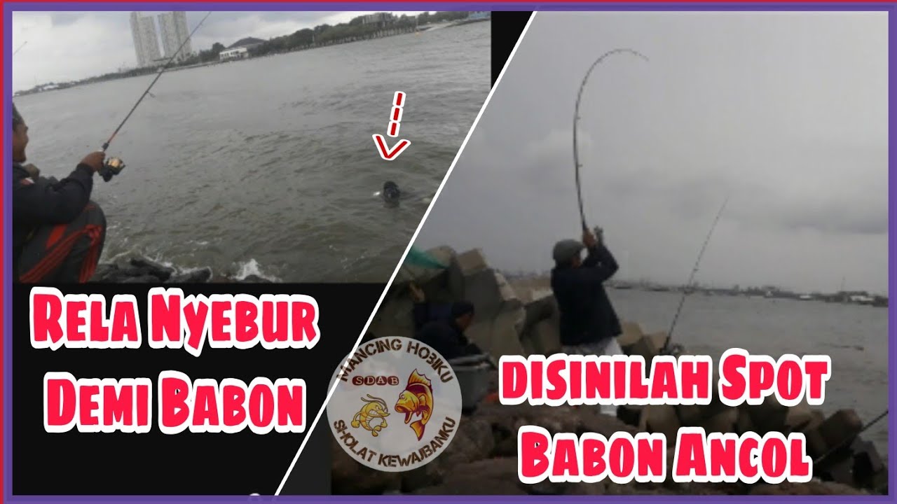 Tarikannya Bikin Gemeteran || Mancing di Sarang Babon || Spot Mancing Ancol || Spot mancing  Jakarta