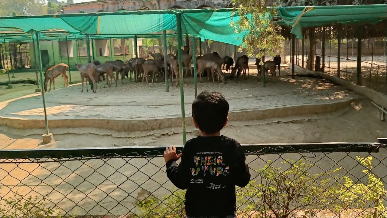 देऊ गेलता सिद्धार्थ गार्डनला