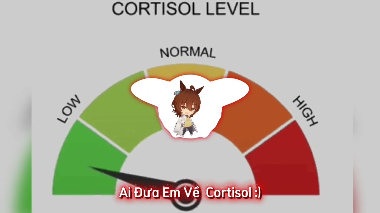 Ai Đưa Em Về (TIA) Cortisol 🗿 | TuanLouis 