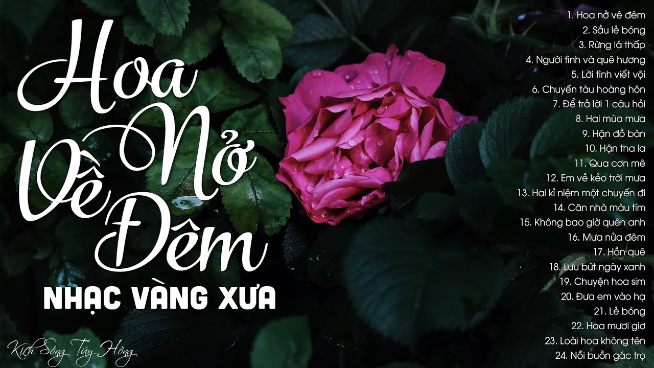 Hoa nở về đêm, Sầu lẻ bóng -  100 bài nhạc xưa nhạc vàng hải ngoại sầu muôn thuở