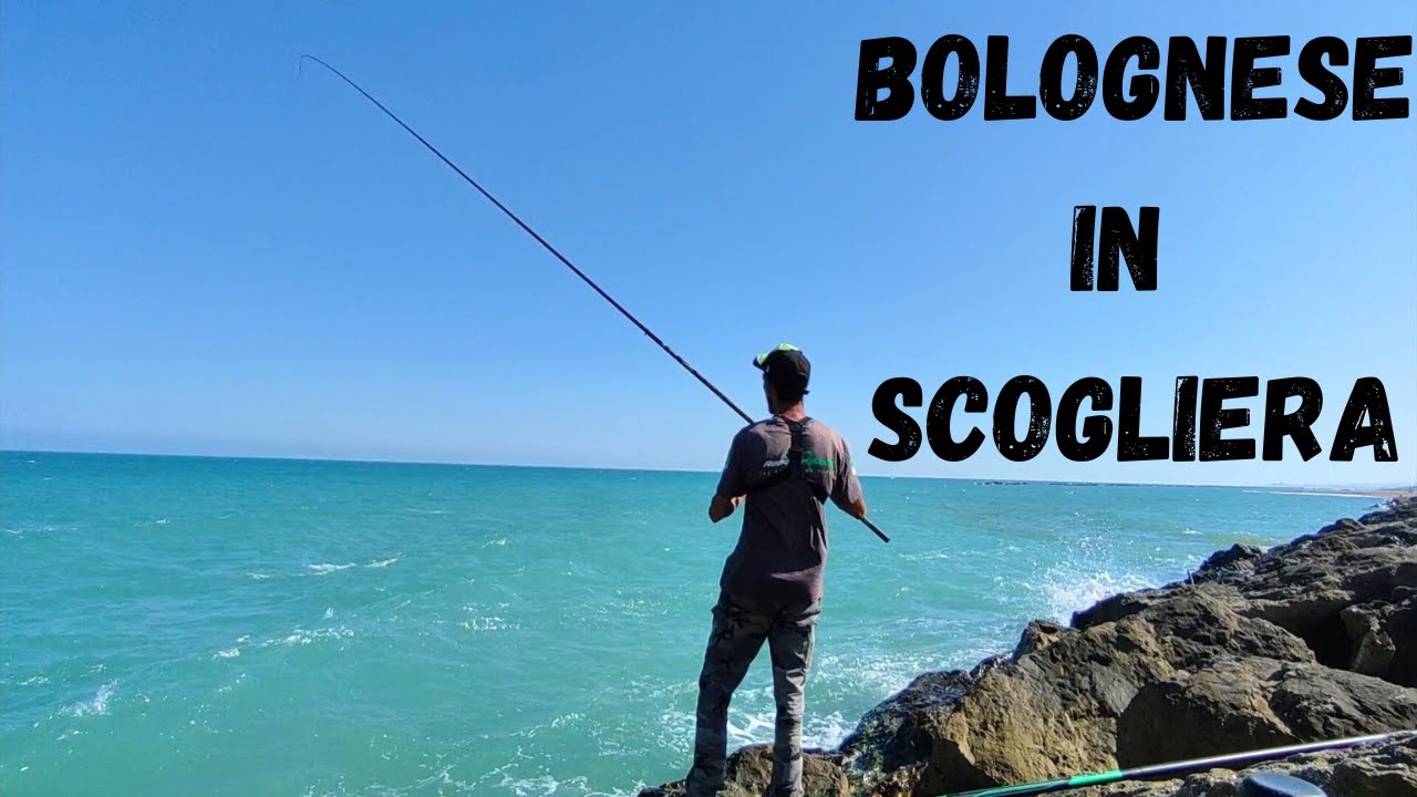 Pesca a bolognese-Una sessione di fine estate.