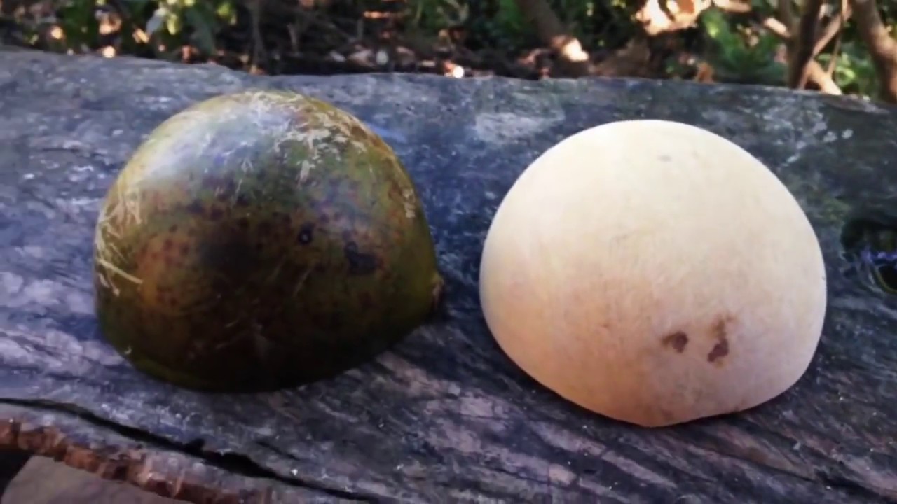 Preparando huacales de palo