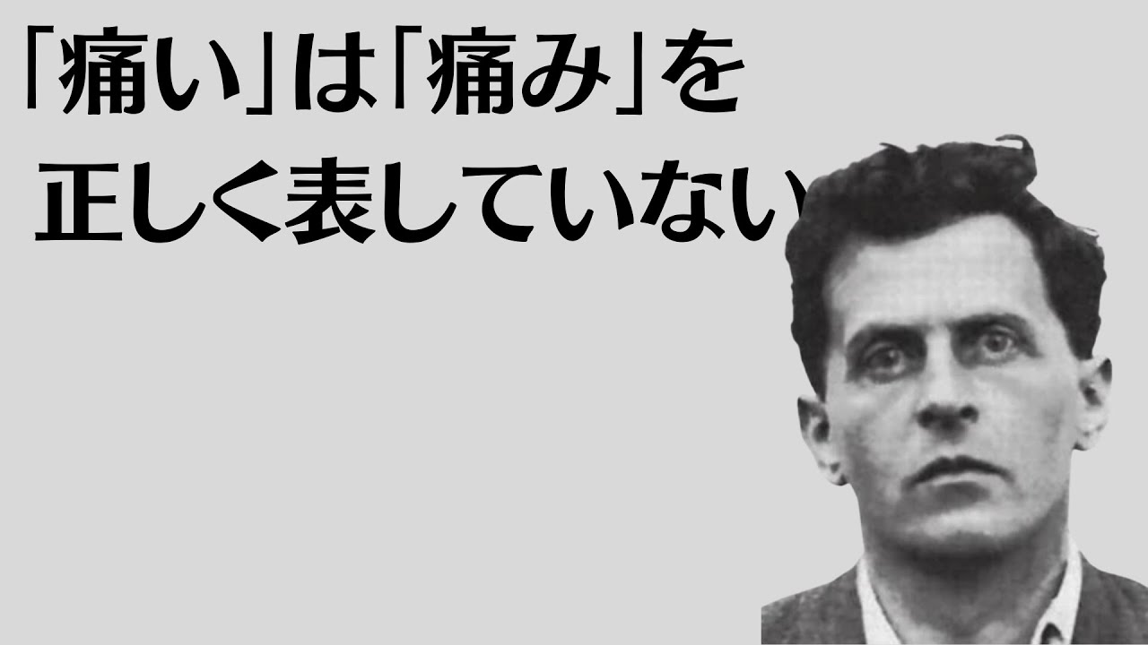 私的言語論と規則のパラドクス　前編（カブトムシの思考実験）