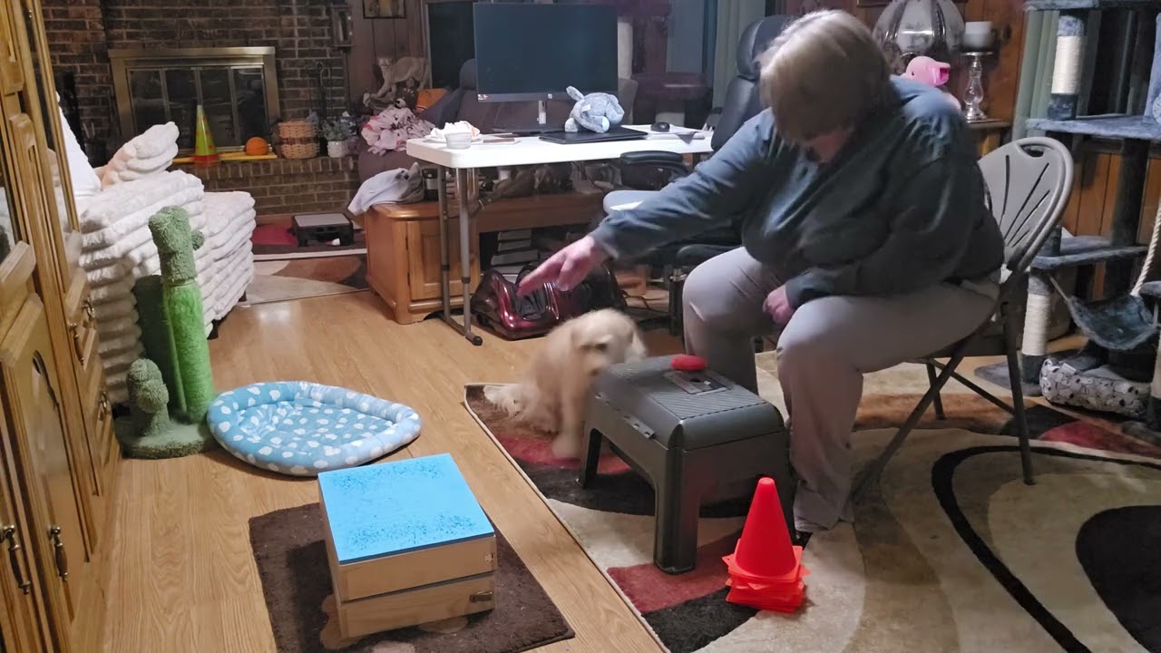 4 part behavior reorder