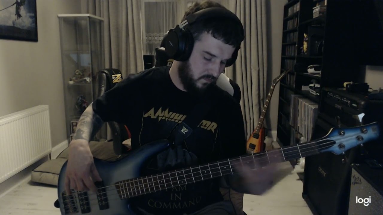 Avenged Sevenfold - Hail To The King (Bass Cover)