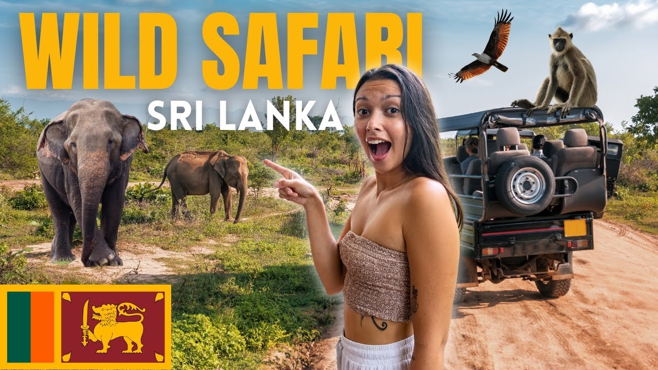 🇱🇰 Наше первое сафари! На Шри-Ланке есть всё!!