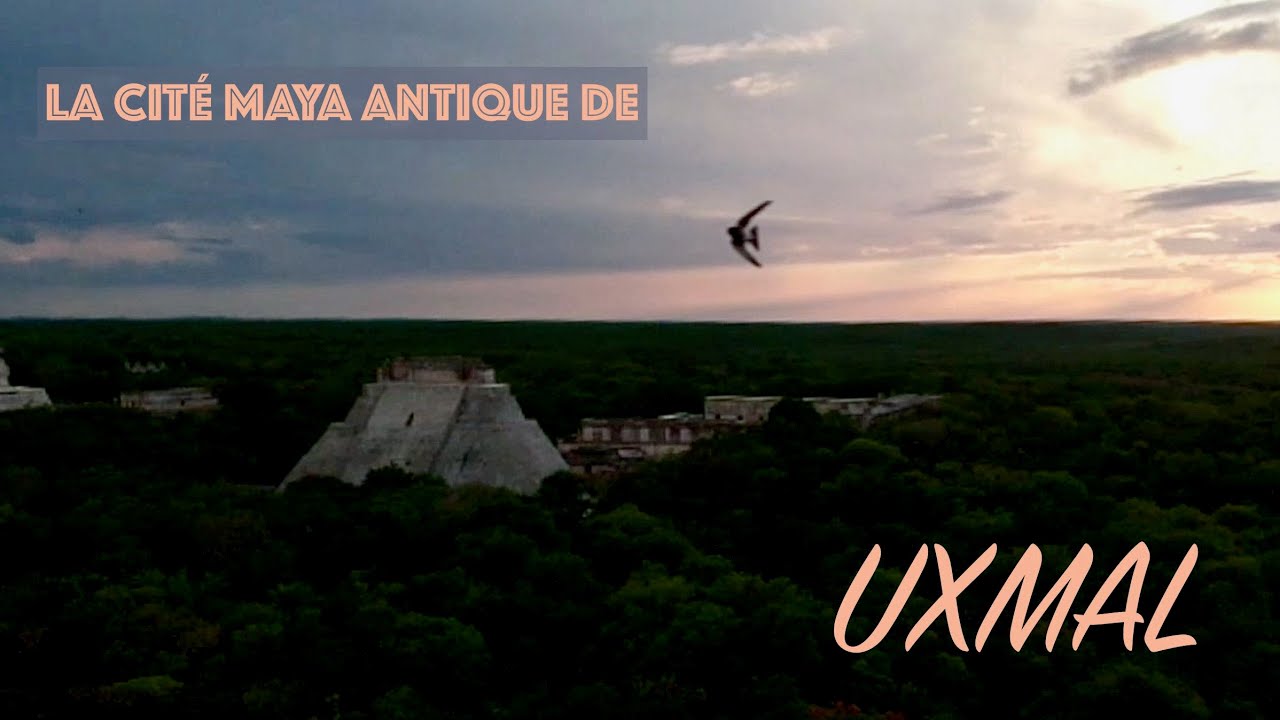 UXMAL - Visite guidée du plus grand site MAYA de la RUTA PUUC au Yucatan (en accès limité)