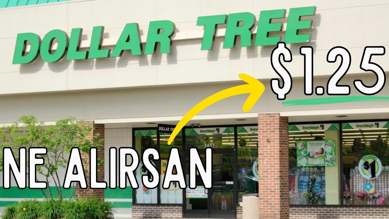 AMERİKA'NIN 1 MİLYONCUSU  - Amerika Market Fiyatları 1. Bölüm Dollar Tree