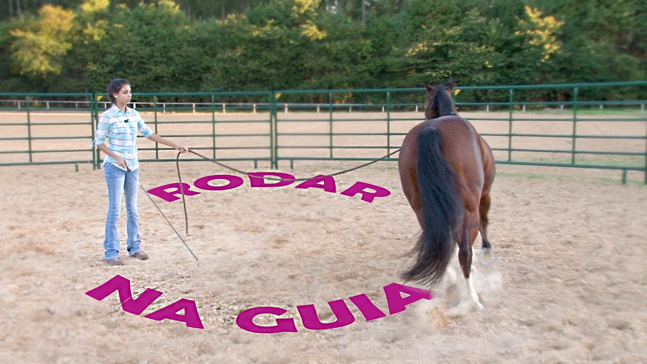 Como rodar na guia