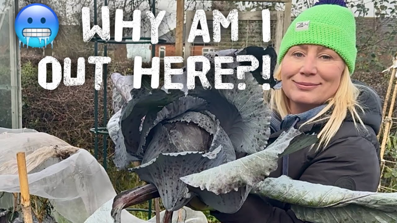 WHO NEEDS A FREEZER? MY ALLOTMENT DID IT FOR ME!