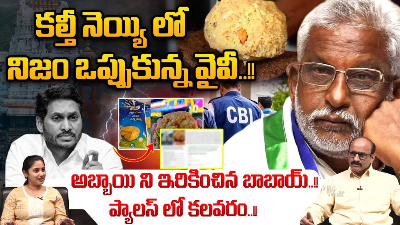 YV Subbareddy Big Shock To YS Jagan Over Laddu Issue : కల్తీ నెయ్యి లో నిజం ఒప్పుకున్న వైవీ..! | WWT