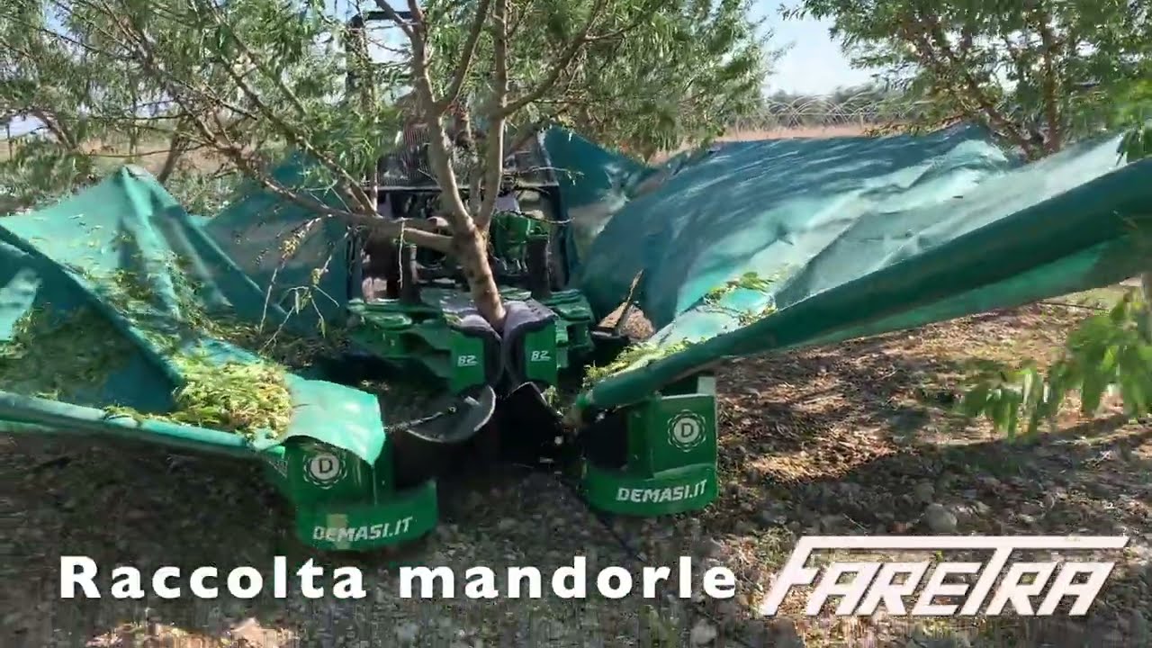 Scuotitore semovente per raccolta meccanica olive e mandorle!