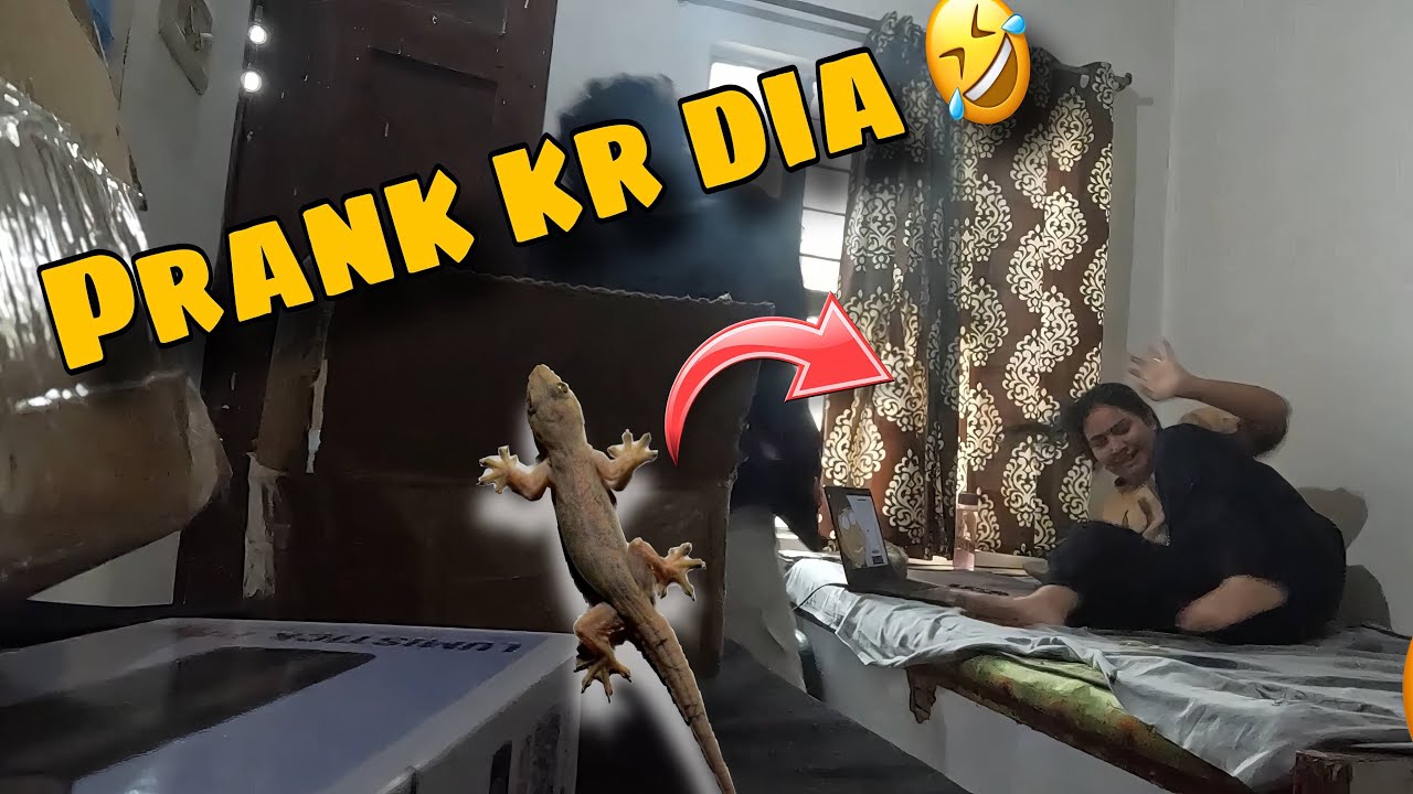 🪳 Cockroach ka Bdla chipkali 🦎 Se Lia😭😭 || Mini heartattack aajata😭