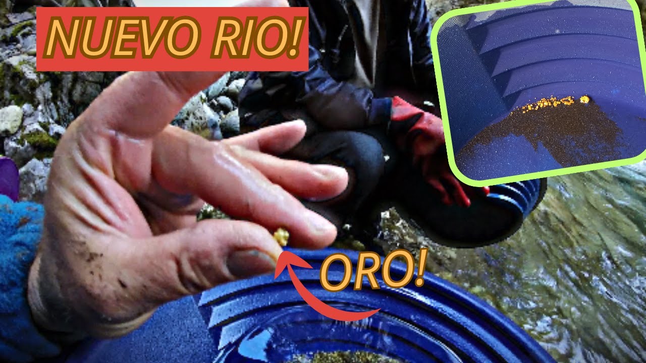 RIO DE ORO DESCUBIERTO! 🌊 Exploración de Oro en un Nuevo Río