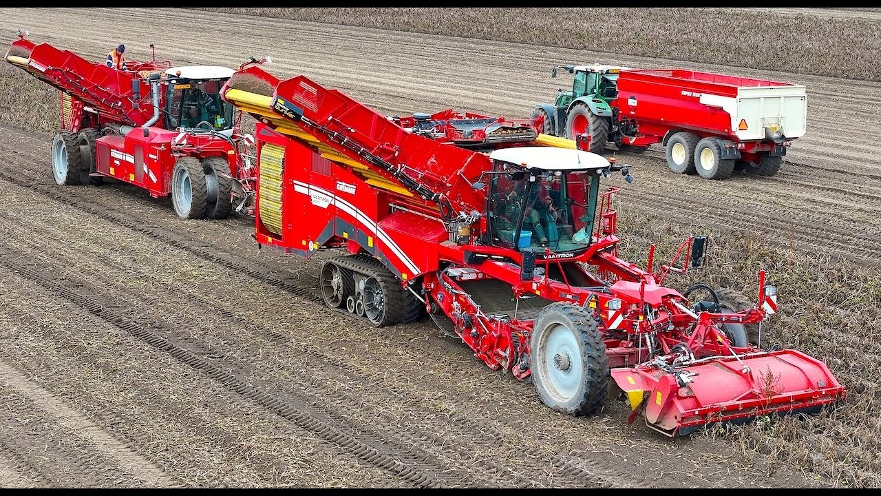 Potato Harvest 2023 | Grimme Varitron 470 TT Gen3  4-row self-propelled harvester #PotatoCam