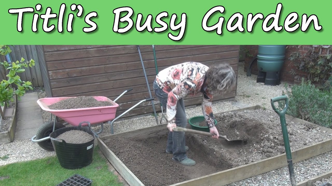 Queen of Spades - Titli's Busy Garden 2015 Episode 06