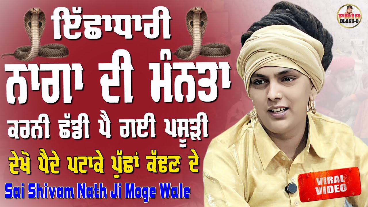 Sai Shiv Nath Ji Moga | ਇੱਛਾਧਾਰੀ ਨਾਗ ਦੀ ਮੰਨਤਾਂ | Sai Shivam Nath Moge Wale | Choki Peera Di Live