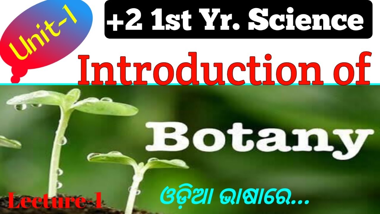 What is Botany in Odia || Introduction of Botany || Class 11 Science || Lecture 1