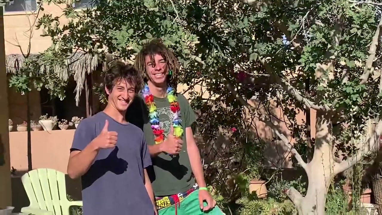 10 טיפים לחיים סביבתיים יותר
