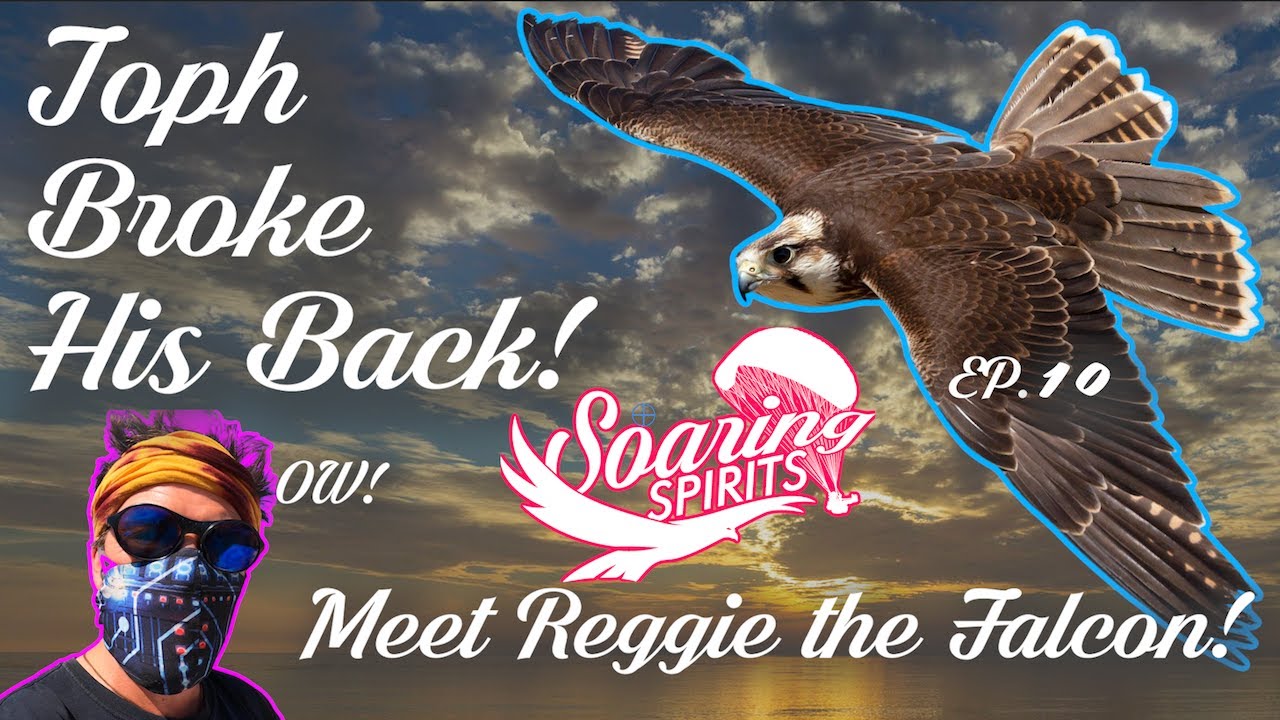OW! Topher Broke his Back in an Accident! Meet Reggie the Lanner Falcon! Episode 10