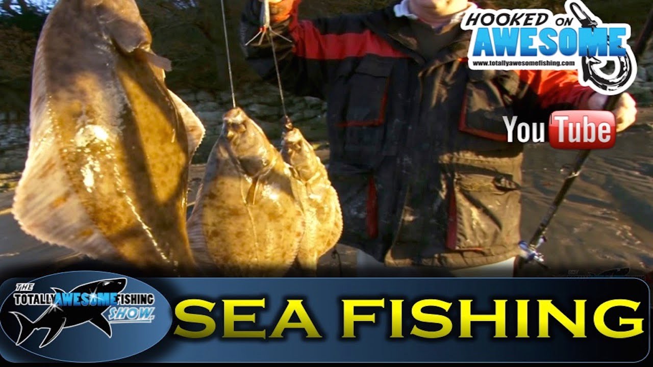 THE BEST FLOUNDER FISHING in the WORLD! - TAFishing Show