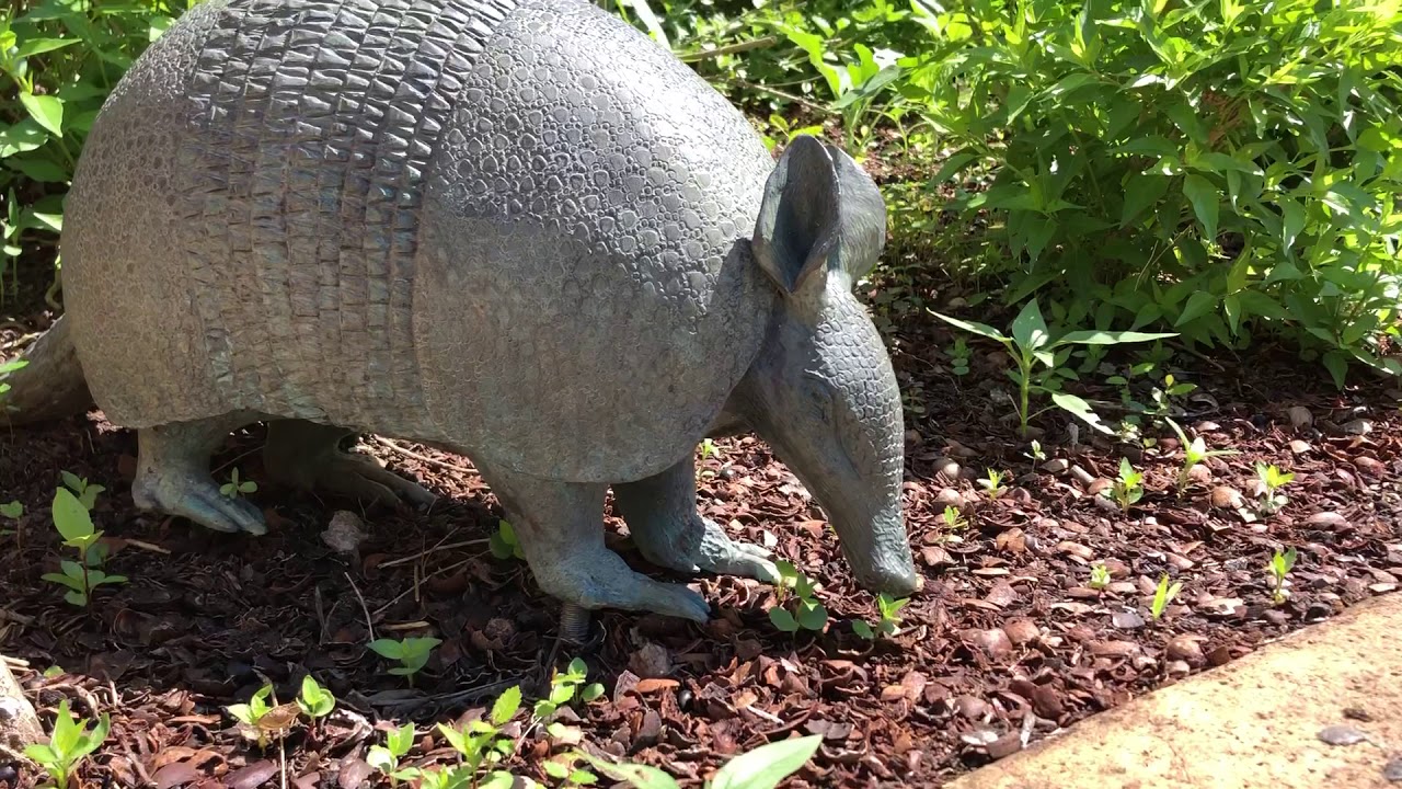 Children's Adventure Garden: Petroglyph Walk Tour