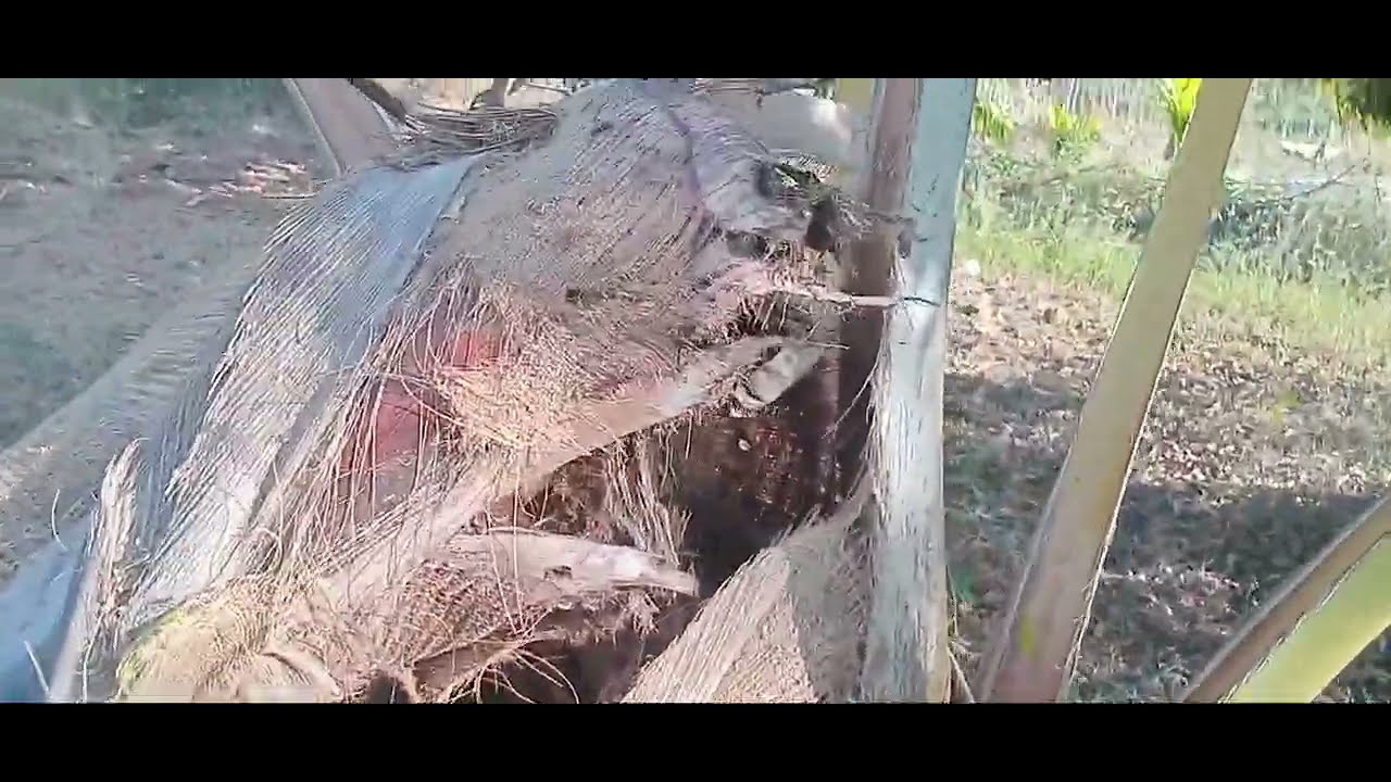  ತೋಟ ಪ್ರವಾಸ