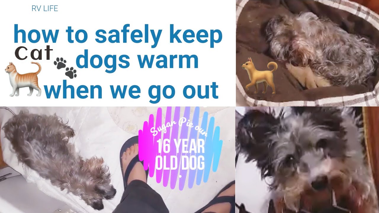 How we SAFELY keep our #PETS #Dogs #Cats warm in an #RV / Unboxing and Review Safe Heaters