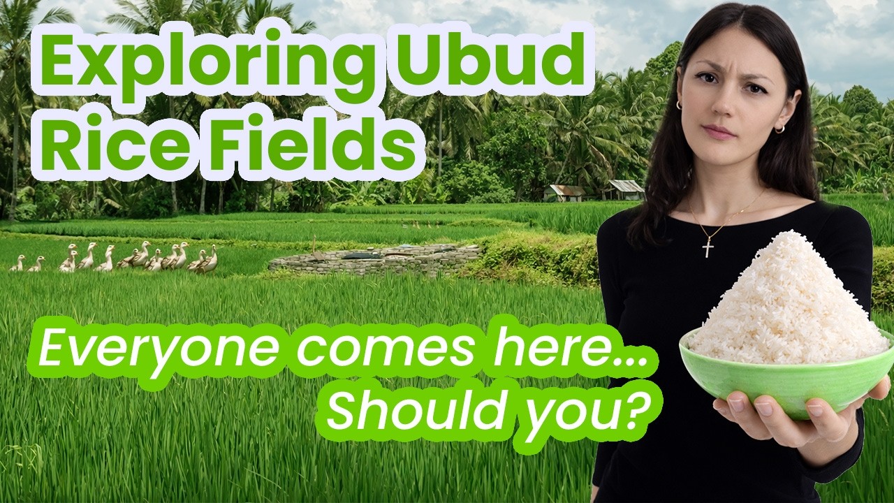 Kuta to Ubud on Scooter | Rice Terraces, Rain | Are The Rice Fields Still Green in  November?