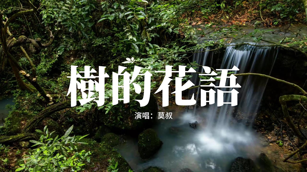 莫叔 - 樹的花語『回答藏在泥土裡風輕輕說，別追問太多花開花落。』【動態歌詞MV】